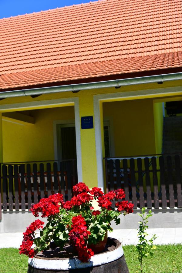 Apartman Vito Saborsko מראה חיצוני תמונה